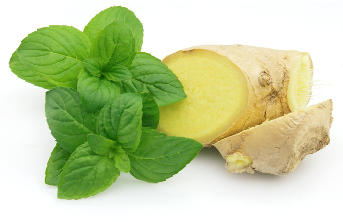 Zenzero e menta di fondi